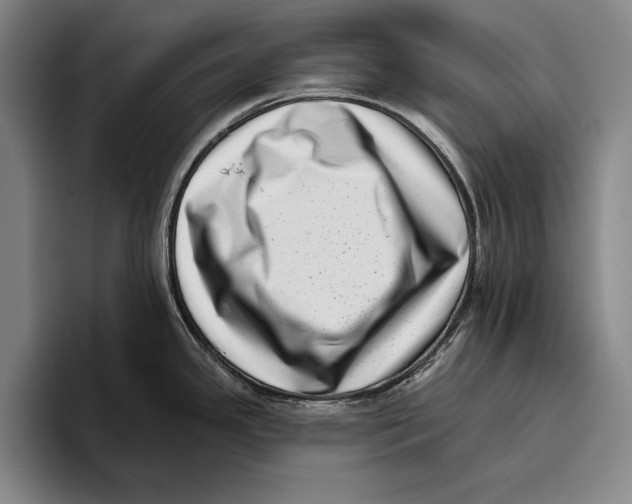 X0000096131341200802151306