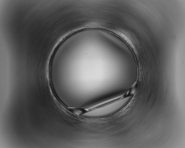 X0000096131342200802151306