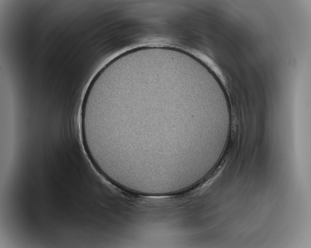 X0000096131343200802151306