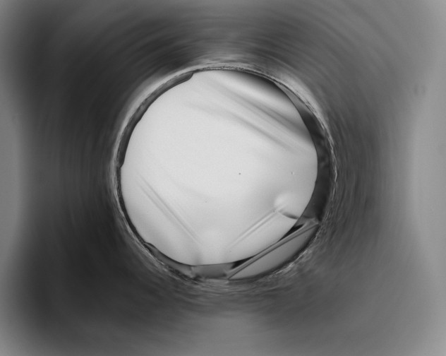 X0000096131344200802151306