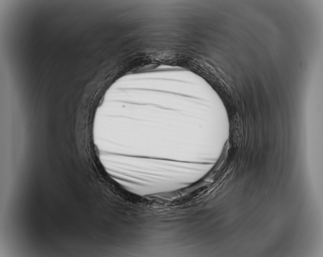 X0000096131345200802151306