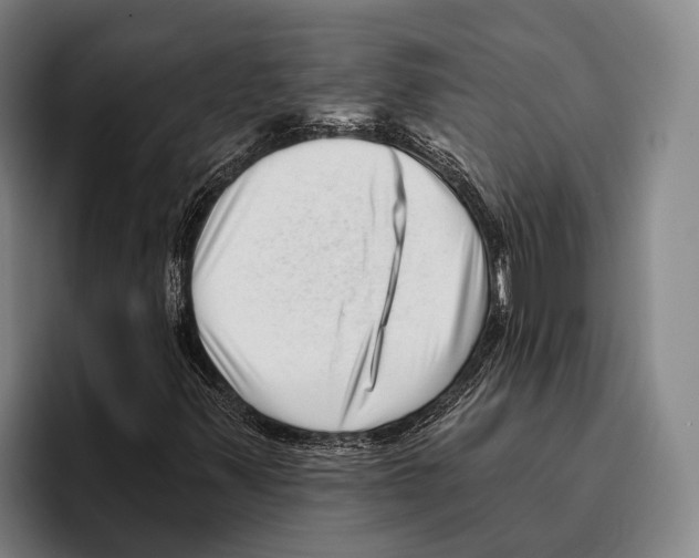 X0000096131347200802151306