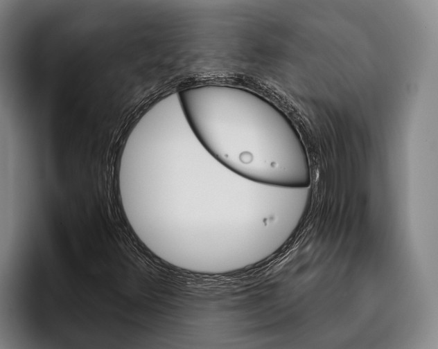 X0000096131348200802151305