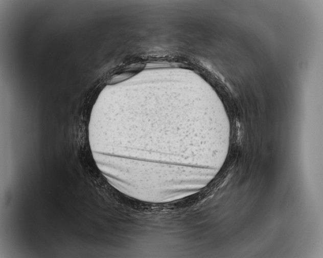 X0000096131350200802151305