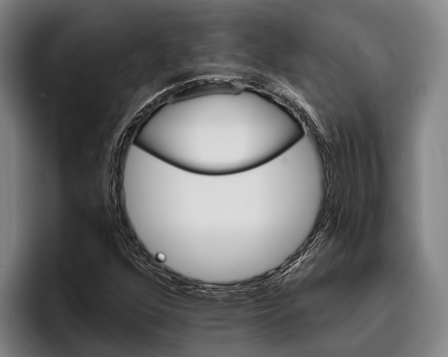 X0000096131352200802151305
