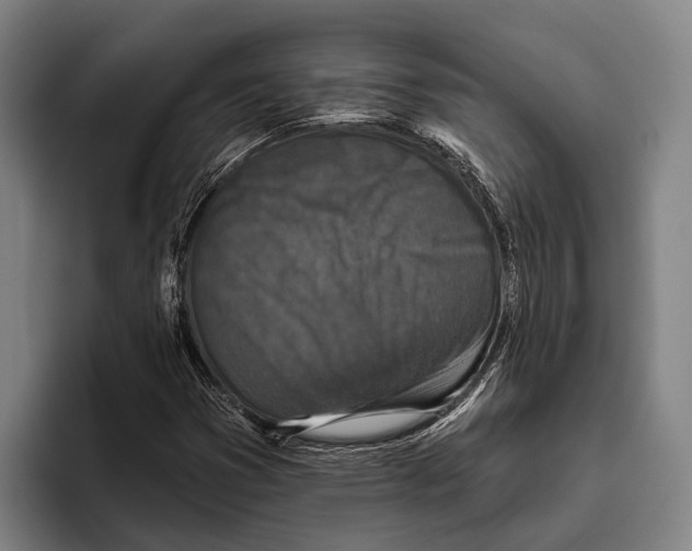 X0000096131353200802151305