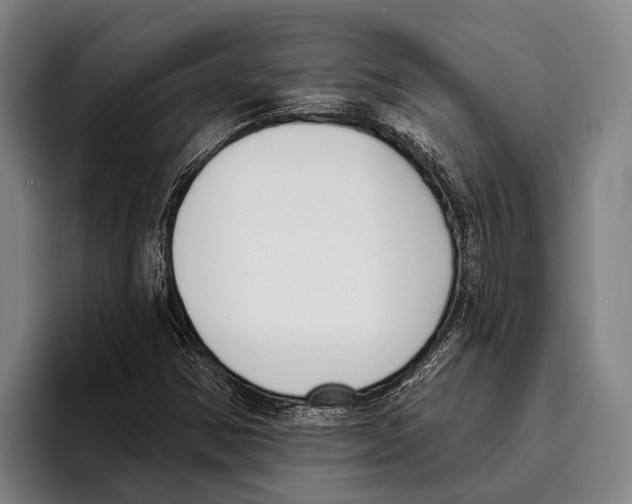 X0000096131354200802151305