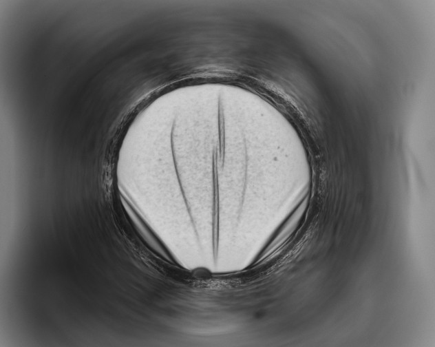X0000096131355200802151305