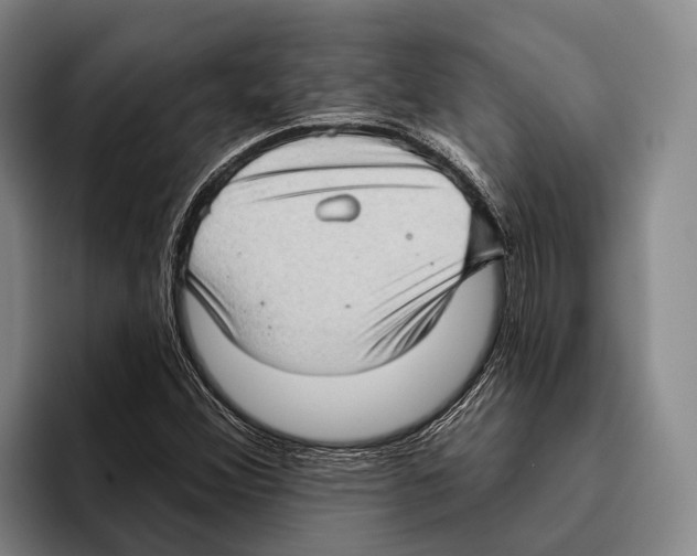 X0000096131356200802151305