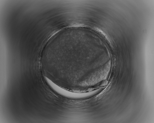X0000096131361200802151305