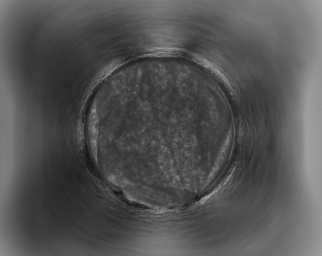 X0000096131362200802151305