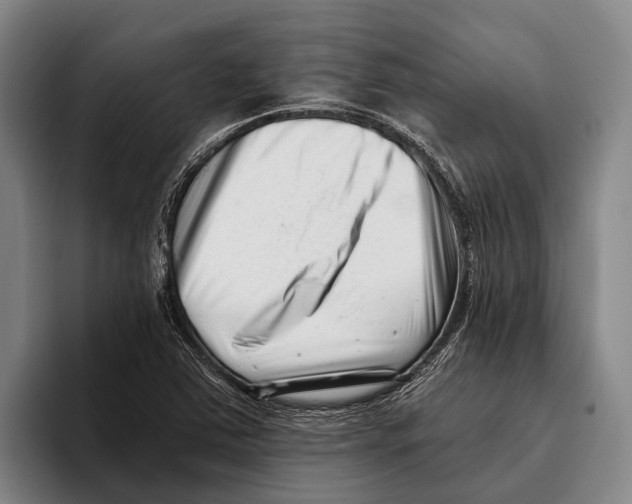 X0000096131363200802151305