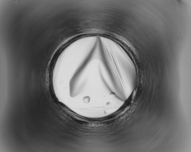 X0000096131364200802151305