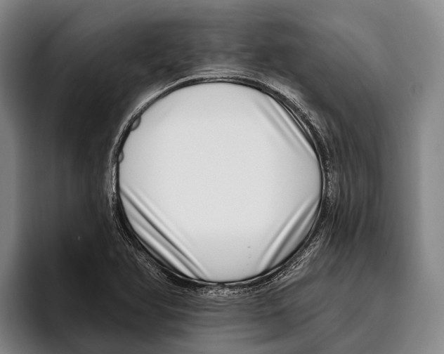 X0000096131366200802151305