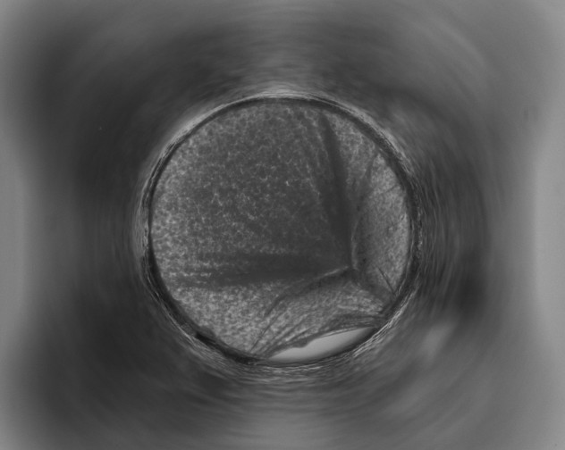 X0000096131367200802151305