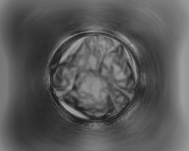 X0000096131368200802151305