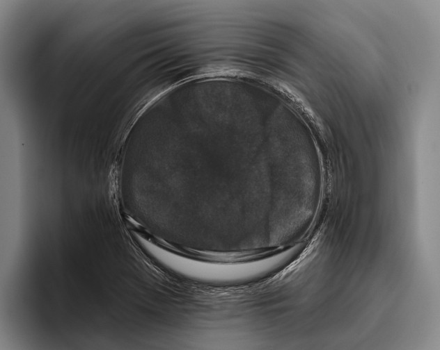 X0000096131369200802151305