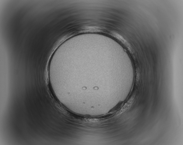 X0000096131370200802151305