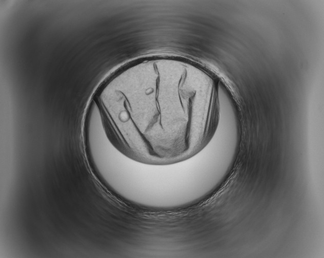 X0000096131372200802151305