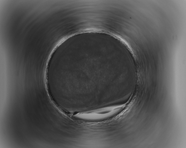 X0000096131373200802151305