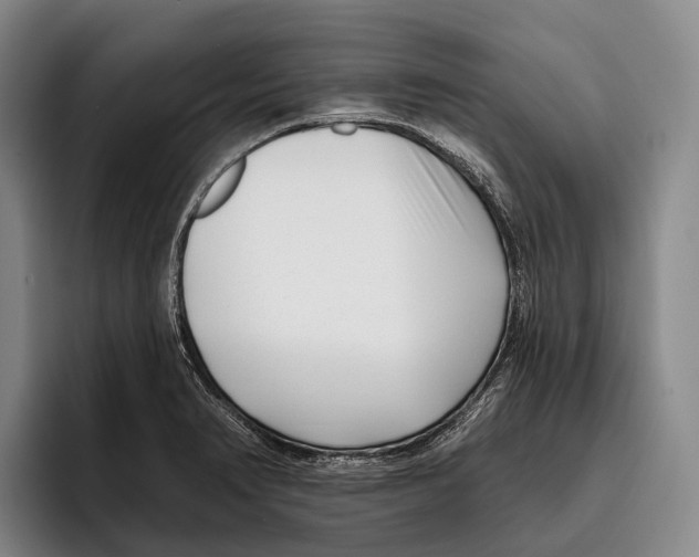X0000096131374200802151305