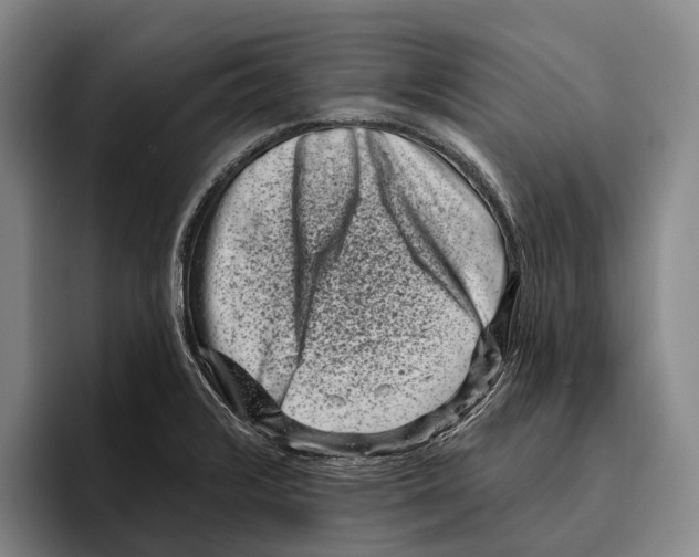 X0000096131376200802151305