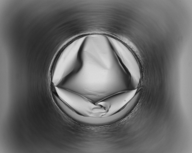 X0000096131380200802151305