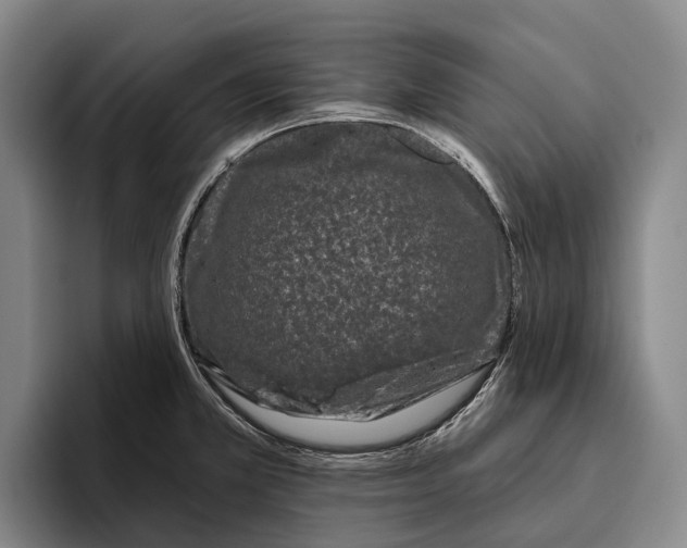 X0000096131381200802151305