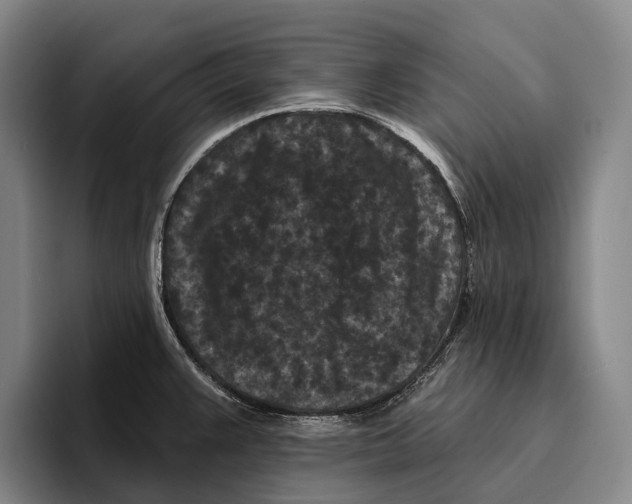 X0000096131383200802151305