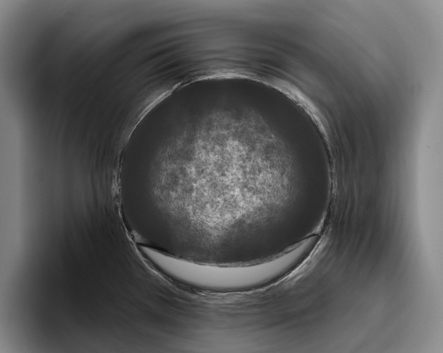 X0000096131385200802151305