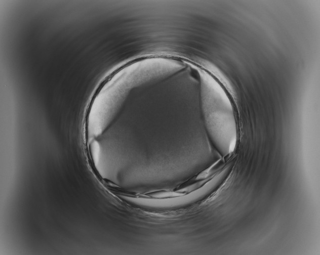 X0000096131388200802151305