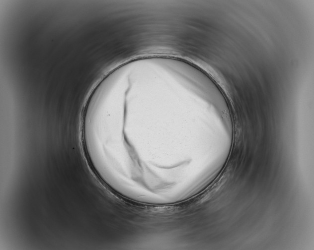 X0000096131390200802151305