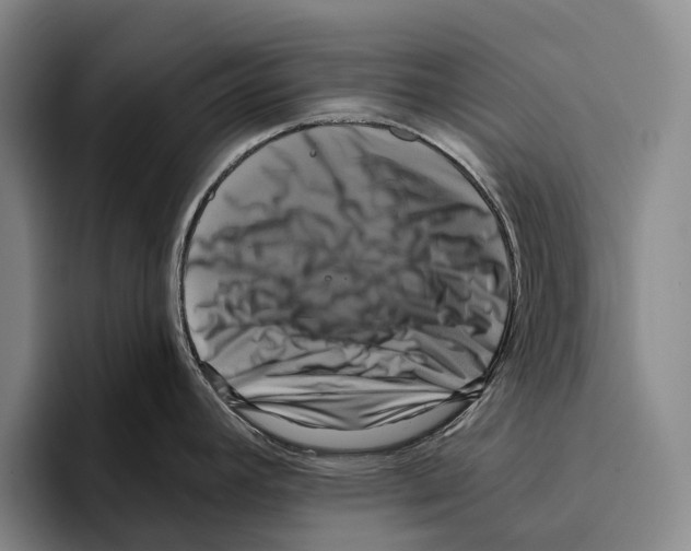 X0000096131392200802151305