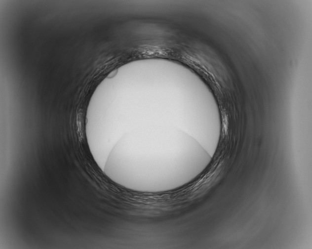 X0000096131396200802151304