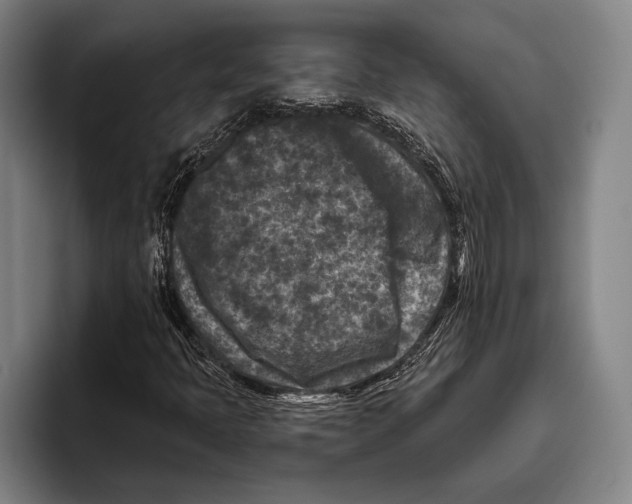 X0000096131397200802151304