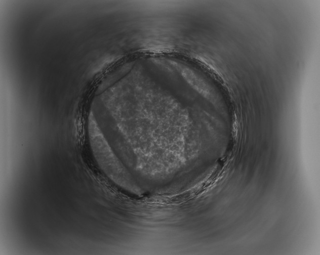 X0000096131398200802151304