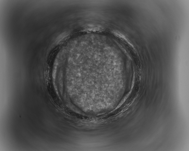 X0000096131399200802151304