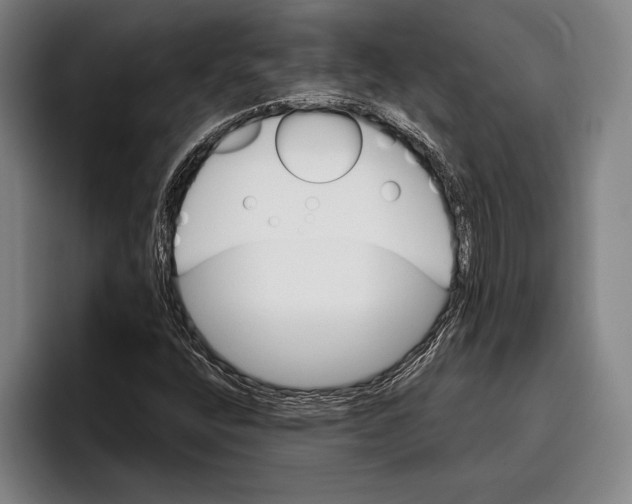 X0000096131400200802151304