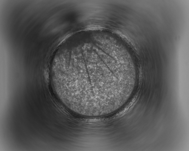 X0000096131401200802151304