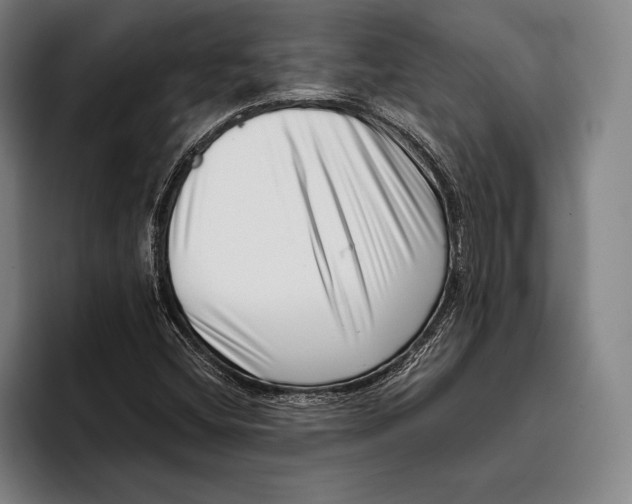 X0000096131404200802151304