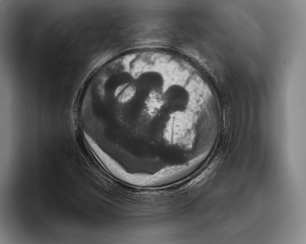 X0000096131405200802151304