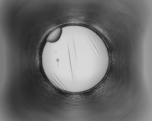 X0000096131408200802151304