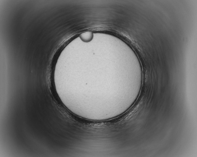 X0000096131410200802151305