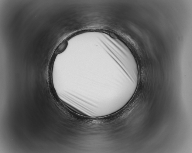 X0000096131412200802151305