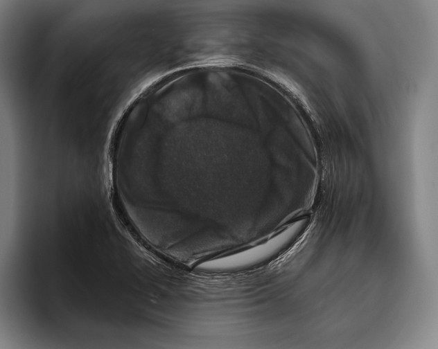 X0000096131414200802151305