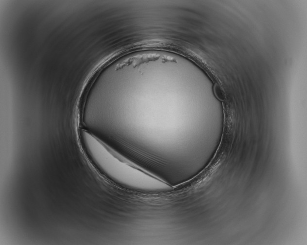 X0000096131418200802151305
