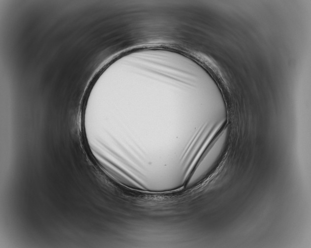 X0000096131420200802151305