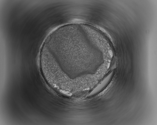 X0000096131421200802151305