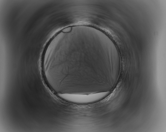 X0000096131422200802151305