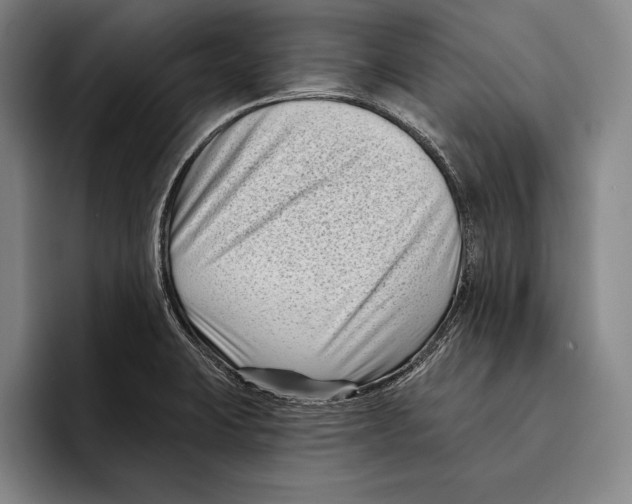 X0000096131423200802151305